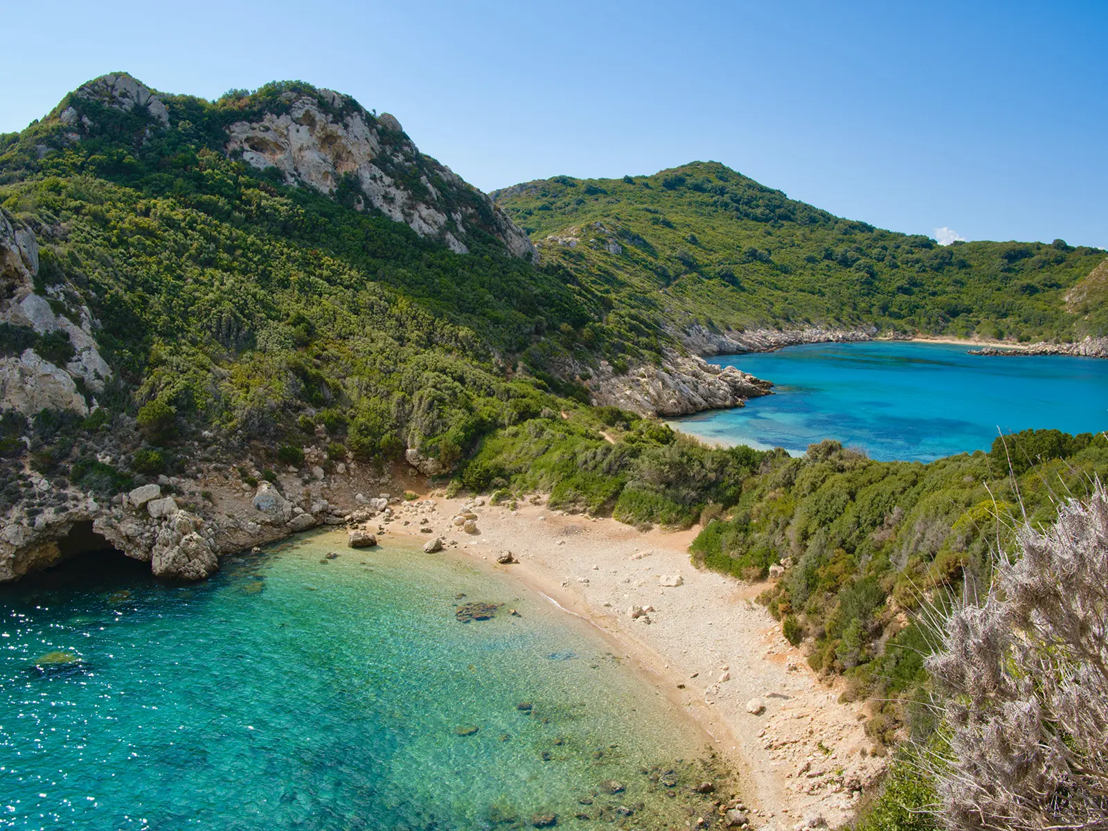 A Clear, Coordinated Approach