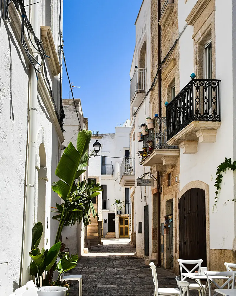 Tell us your goals and timeline